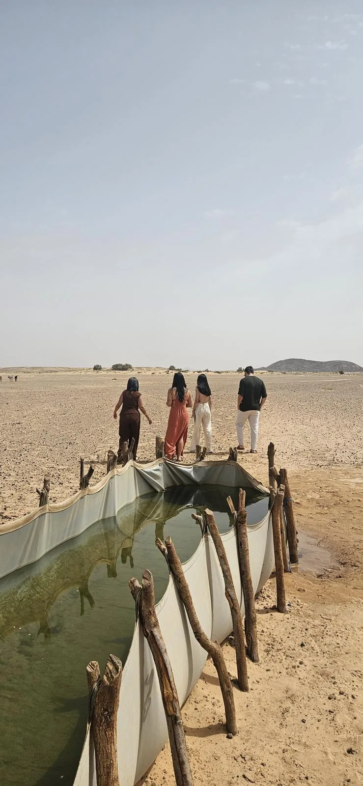 Grupo de viajeros junto a una alberca de agua en el desierto